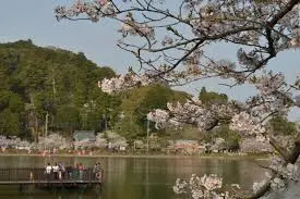 これは千葉県東金市の街の風景写真