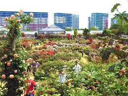 これは千葉県八千代市の街の風景写真
