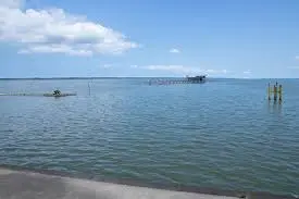 これは茨城県かすみがうら市の街の風景写真