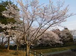 これは茨城県桜川市の街の風景写真