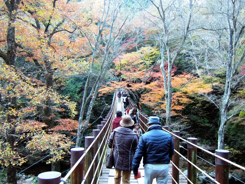 これは茨城県高萩市の街の風景写真