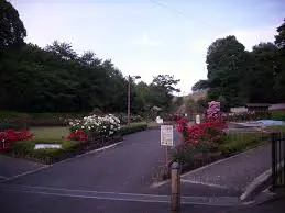 これは神奈川県綾瀬市の街の風景写真