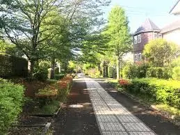 これは神奈川県横浜市泉区の街の風景写真