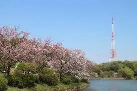これは神奈川県横浜市鶴見区の街の風景写真