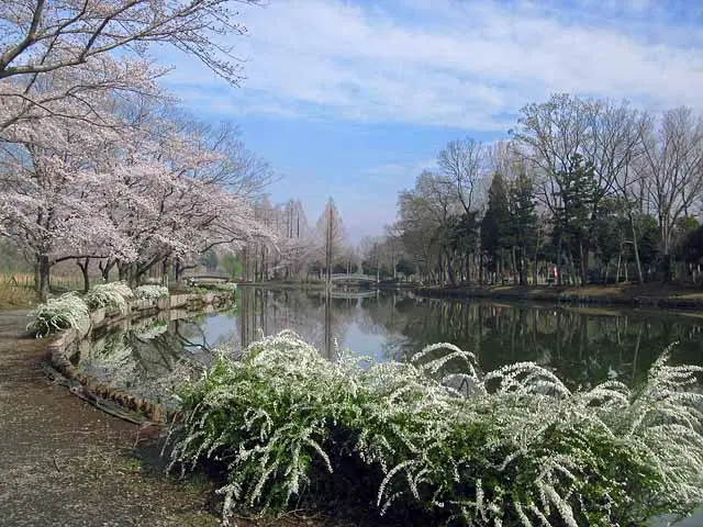 これは埼玉県上尾市の街の風景写真