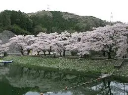 これは埼玉県入間郡毛呂山町の街の風景写真