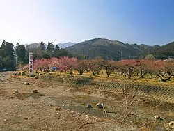 これは埼玉県入間郡越生町の街の風景写真