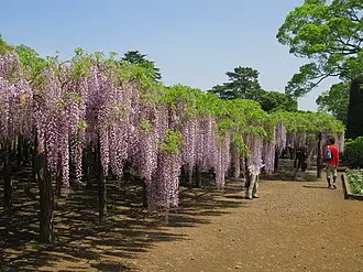 これは埼玉県春日部市の街の風景写真