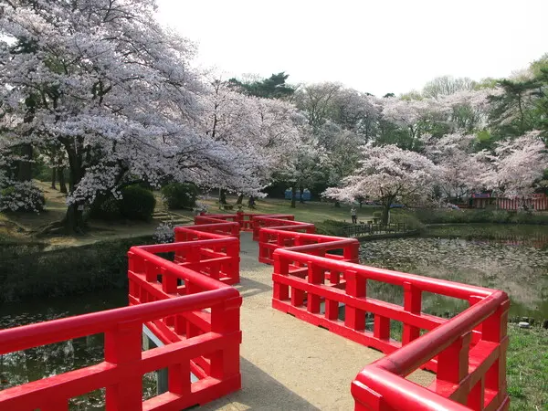 これは埼玉県さいたま市岩槻区の街の風景写真