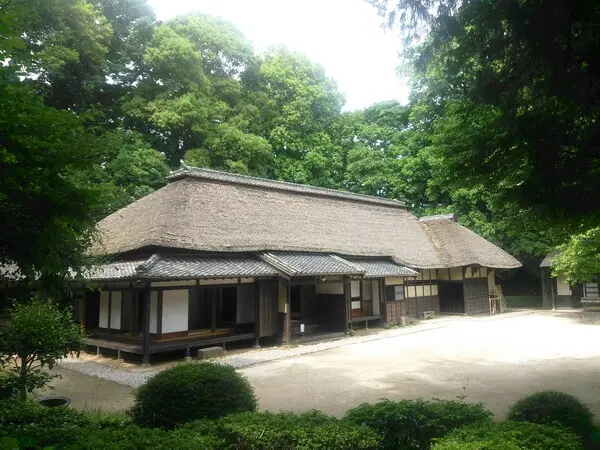 これは埼玉県さいたま市見沼区の街の風景写真