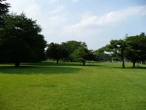 これは埼玉県狭山市の街の風景写真