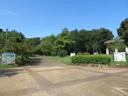 これは埼玉県和光市の街の風景写真