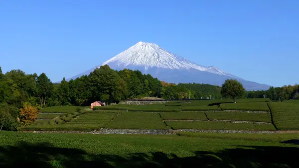 これは静岡県富士市の街の風景写真