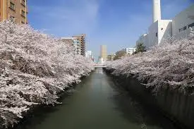 これは東京都目黒区の街の風景写真