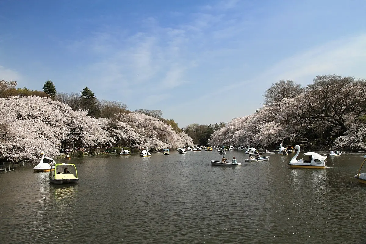 これは東京都三鷹市の街の風景写真