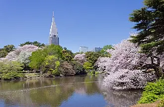 これは東京都新宿区の街の風景写真