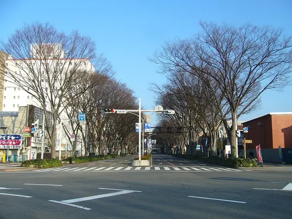 これは群馬県前橋市の街の風景写真