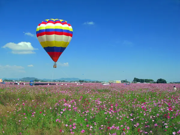 これは群馬県邑楽郡板倉町の街の風景写真