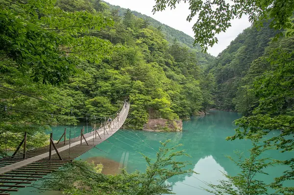これは静岡県榛原郡川根本町の街の風景写真