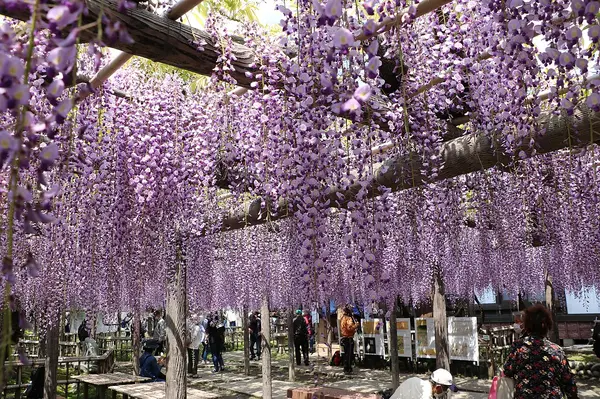 これは静岡県磐田市の街の風景写真