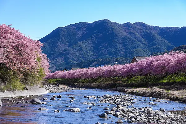 これは静岡県賀茂郡河津町の街の風景写真