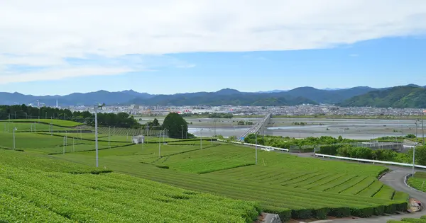これは静岡県島田市の街の風景写真